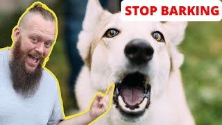 How to Train Your Dog to STOP BARKING at EVERYTHING [upl. by Ennalorac]