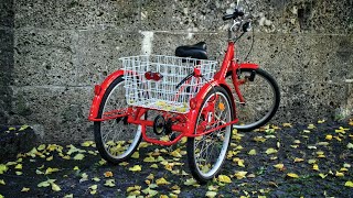 The 5 Best Adult Tricycles Review In 2024  Perfect Models For Any Budget [upl. by Profant]