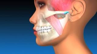 TMJ Explanation amp Therapy [upl. by Alguire]