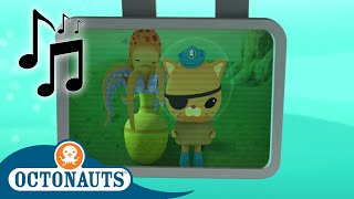 Octonauts  Octopus and Others  Cartoons for Kids  Creature Reports [upl. by Hacceber]