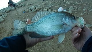 Bank Fishing for Crappie and Catfish at Lewisville Lake and Lake Dallas [upl. by Ameer]