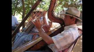 Traditional Paraguayan Harp Music [upl. by Xavier]