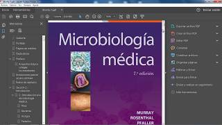 Murray  Microbiología Médica 7ed PDF LIBRO [upl. by Runck]