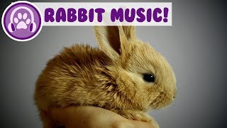 Music for Rabbits Calm and Soothe Your Rabbit and Stop Anxiety [upl. by Irtimed569]