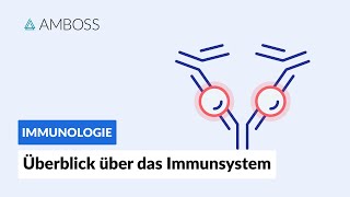 Überblick über das unspezifische und spezifische Immunsystem  Immunologie  AMBOSS Video [upl. by Radmilla]