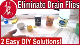 How to Get Rid of Drain Flies [upl. by Llyrat]