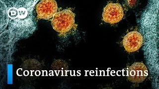 Coronavirus reinfections raise concerns  DW News [upl. by Kerek]