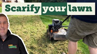 How to scarify your lawn step by step [upl. by Scholem533]