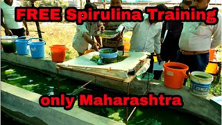 FREE online Spirulina Farming Training  only Maharashtra  7057700035 [upl. by Hitt680]