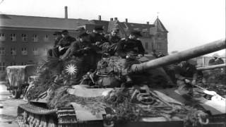 German soldiers of 512th Heavy Tank Destroyer Battalion surrender piling up armsHD Stock Footage [upl. by Lattie965]