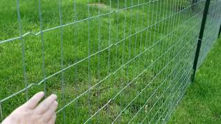 Loose Welded Wire Fence [upl. by Jamille297]