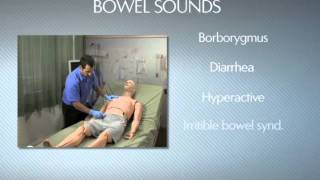 HAL® S3201  Part 9  Bowel sounds [upl. by Guillaume249]