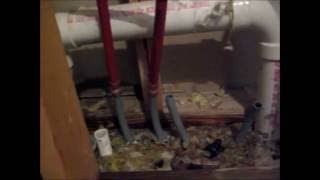 Polybutylene Plumbing Repair [upl. by Annol]