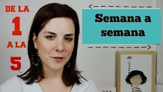 PRIMEROS SINTOMAS de EMBARAZO  PRIMER MES  SEMANAS 15 [upl. by Ahsen335]