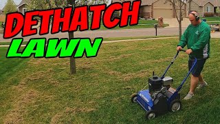 Dethatching A Lawn With Bluebird Power Rake [upl. by Anneuq]