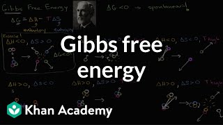 Gibbs free energy and spontaneous reactions  Biology  Khan Academy [upl. by Dauf]