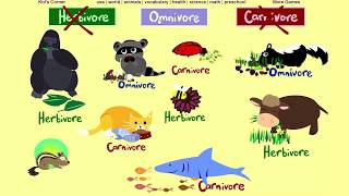 What do Animals Eat Herbivore Omnivore or Carnivore Game 2  Sheppard Software [upl. by Damon]