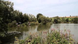 VIADUCT FISHERY SOMERTON SOMERSET [upl. by Ahens]