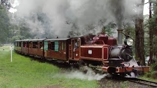 Steam Trains in Winter  Puffing Billy Railway Trains Downunder [upl. by Nath]