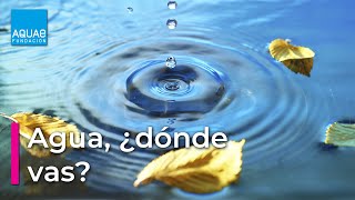 AGUA ¿Dónde Vas  POESÍA de Federico García LORCA [upl. by Itsirc]