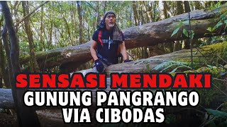 SENSASI Pendakian gunung pangrango via cibodas [upl. by Mia]