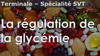 La régulation de la glycémie  SVT  Terminale [upl. by Allred]