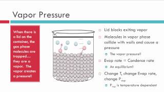 Evaporation Vapor Pressure and Boiling [upl. by Roberson]