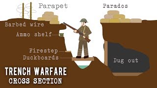 Trench Systems Cross Section [upl. by Okwu377]