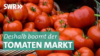 Das Geschäft mit Tomaten  Marktcheck SWR [upl. by Annissa]