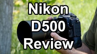 Nikon D500 Review A Wildlife Photographers Perspective [upl. by Dania595]