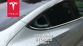 Tesla Sentry Mode theft compilation  TESLACAM STORIES 9 [upl. by Savina780]