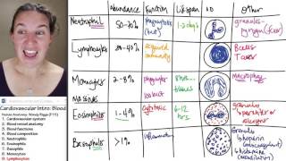 Blood 9 Lymphocytes [upl. by Nacnud]