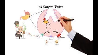 Pharmacology  ANTIHISTAMINES MADE EASY [upl. by Yecac582]