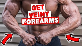 FOREARM WORKOUT FOR VEINS  DUMBBELLS OR BARBELL [upl. by Rici850]