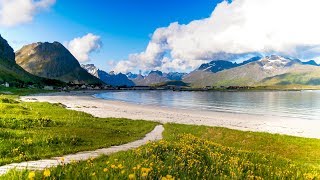 Uplifting Music  light positive happy music Gullrosøya  1 hour [upl. by Marthe]