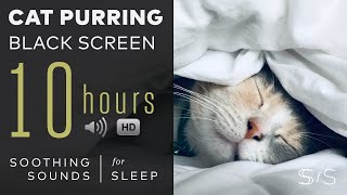 Cat Purring  10 Hours  Black Screen  Soothing Sounds Relax Study Calming [upl. by Ydnih88]