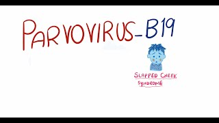 Parvovirus B19  Fifth Disease  pathogenesis clinical features diagnosis and management [upl. by Hnahk620]