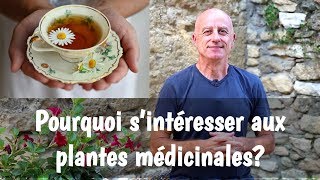 Pourquoi sintéresser aux plantes médicinales [upl. by Eniamart854]