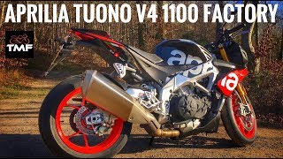 Aprilia Tuono V4 1100 Factory in depth review [upl. by Siuqramed]