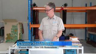 Library Mould Removal  How to Remove Mold from Books [upl. by Corvin]