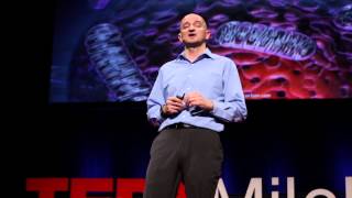 Winning the battle against metabolic disorders  Iñigo San Millán  TEDxMileHigh [upl. by Deidre]