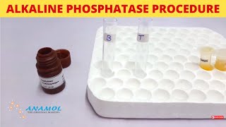 Alkaline Phosphatase Test  ALP Test [upl. by Alekim]