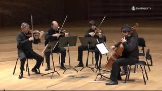 Franz Schubert String Quintet in C Major D 956 [upl. by Eseerehs]