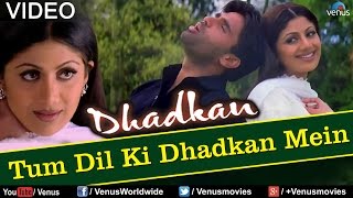 Tum Dil Ki Dhadkan Mein  Duet Dhadkan [upl. by Oralee]