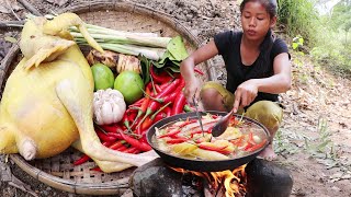 Survival cooking in The rainforest Chicken soup Spicy chili with Crab for Food in Jungle [upl. by Nicholle408]