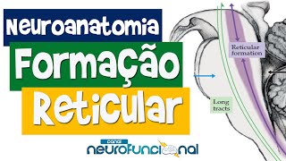 NEUROANATOMIA Formação Reticular e Coma [upl. by Phebe]