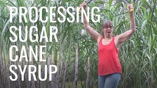 COMPLETE Process for Making SUGAR CANE Syrup [upl. by Lehman]