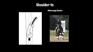 ShoulderIn A Fundamental Movement in Dressage Training [upl. by Enawyd914]