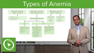 Anemia Microcytic Normocytic amp Macrocytic Type – Hematology  Lecturio [upl. by Liew]