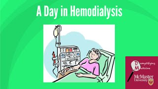 A day in hemodialysis [upl. by Ennaxxor]